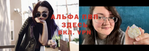 дживик Чегем