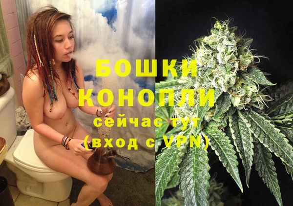 ПСИЛОЦИБИНОВЫЕ ГРИБЫ Чекалин