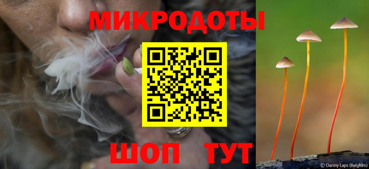 Галлюциногенные грибы прущие грибы Чебаркуль
